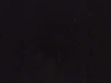 Bongacams Best Webcam of SophieMary