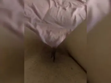 Bongacams Watch Live Sex Cams of marsandvenera