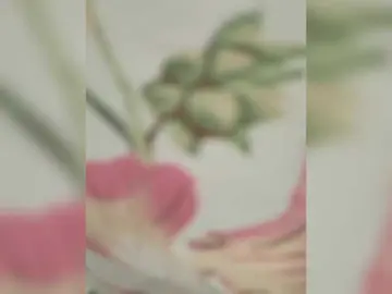Bongacams Adult Video Chat of Anesteishen