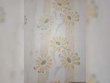 Bongacams Best live sex cam show of VselenaSun402