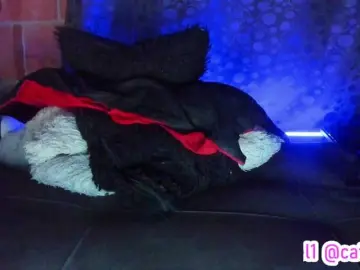 Bongacams Live Porn of cata-anngel