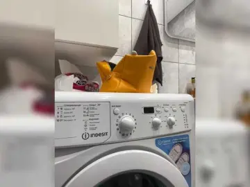 Bongacams Adult Webcam of IRAONIC