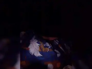 Bongacams Live Sex Cam of NaughtyWetPieXx