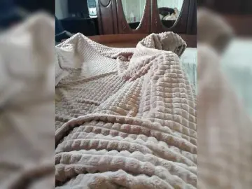 Bongacams Free Porn Cam of P-a-n-t-h-e-r