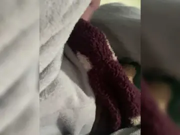 Bongacams Live Porn of TaylorKnapp