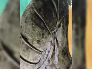 Bongacams Private Sex Chat of Ellidi