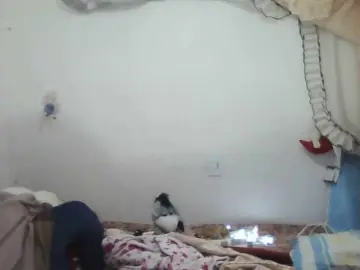 Bongacams Sex Chat of Ximenajimenez