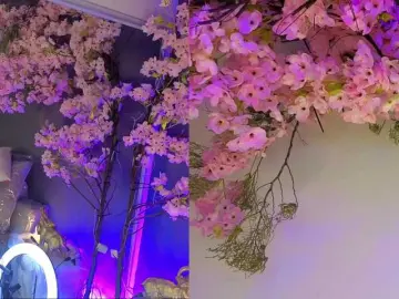 Bongacams Adult Video Chat of miasecretmodel