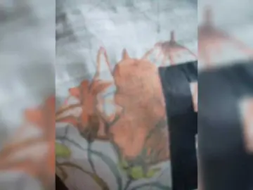 Bongacams Best Webcam of Rabearivelo