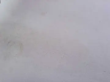 Bongacams Best Webcam of EllenaBoobs
