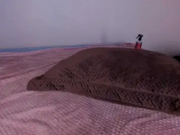 Bongacams Free Porn Cam of AriaFoster