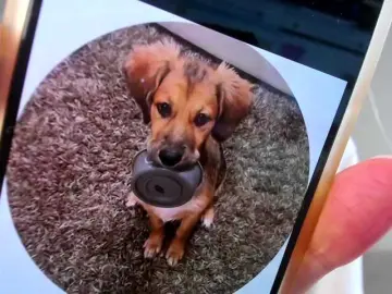 Bongacams Sex Cam of MiaMeowa