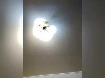 Bongacams Live Sex Cam of MilfaSguirt