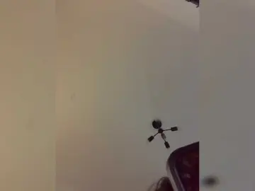 Bongacams Free Live Porn of AlexMir69