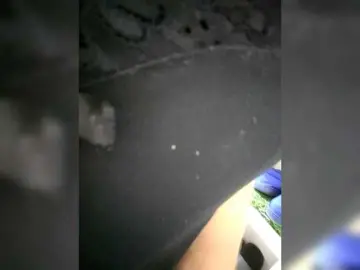 Bongacams Best Webcam of Marry357