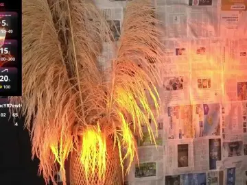 Bongacams Live Sex of jacki-O