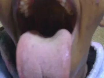 Bongacams Live Sex Cam of sexxynila