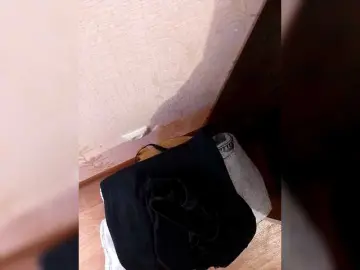 Bongacams Best live sex cam show of girl-7