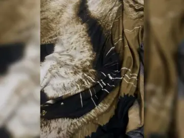 Bongacams Free Porn Cam of Sosochka-99A