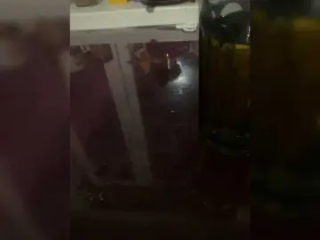 Bongacams Sex Chat of Sosochka-99A