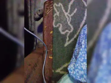 Bongacams Free Porn Cam of Isabel-LM