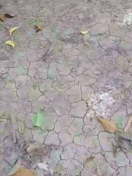 Cam4 Best live sex cam show of LeoNegrote