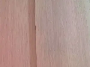 Cam4 Live Sex of cutehanna1