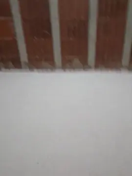 Cam4 Private Sex Chat of VGDB