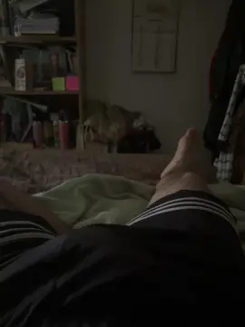 Cam4 Free Live Porn of anonimouspear