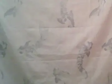 Cam4 Sex Cam of sissypissy