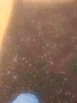 Cam4 Best Webcam of joao4180