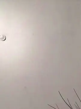 Cam4 Adult Video Chat of mica224