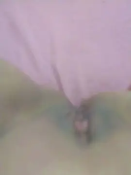 Cam4 Live Porn of Ayuqueen