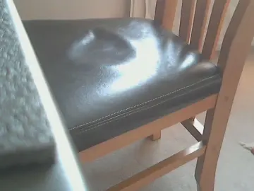 Cam4 Live Sex of basilbrush