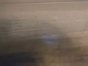 Cam4 Live Porn of beffer_fun