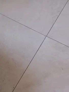 Cam4 Sex Cam of Myqueenfeet1900