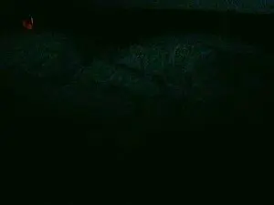 Cam4 Adult Webcams of skyskyjunior