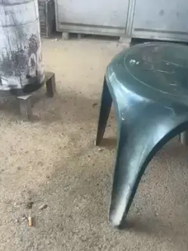 Cam4 Watch Live Sex Cams of Bullnapol