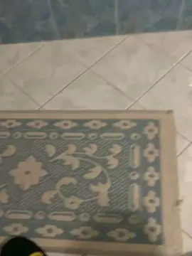 Cam4 Nude Webcam of Bullnapol