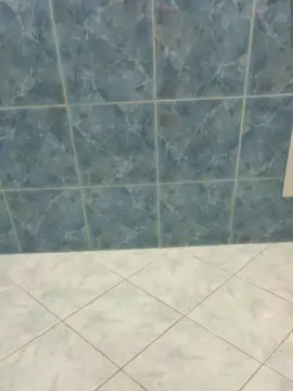 Cam4 Adult Video Chat of Bullnapol