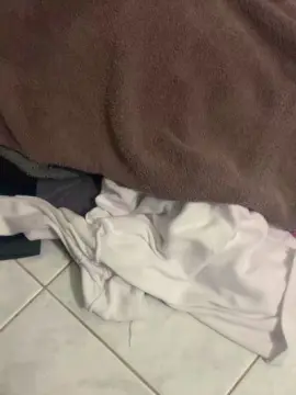 Cam4 Best Webcam of Bullnapol