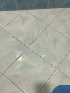 Cam4 Sex Chat of Bullnapol