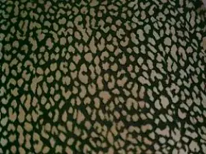 Cam4 Adult Webcams of best189