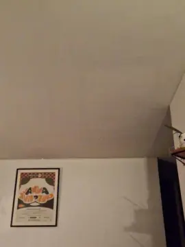 Cam4 Live Porn of oso4fun