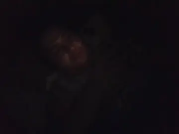 Cam4 Live Porn of Just_Chatting