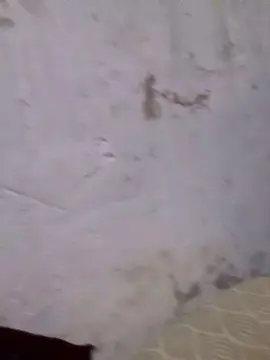 Cam4 Nude Webcam of Melinaa2024