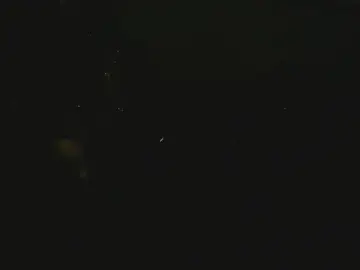 Cam4 Sex Cam of UseDatman