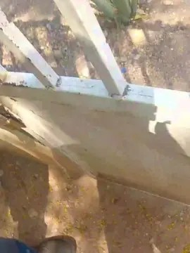 Cam4 Nude Webcam of MONSTER777DADDY