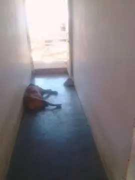 Cam4 Adult Webcam of MONSTER777DADDY