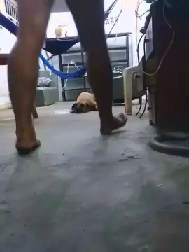 Cam4 Free Porn Cam of MONSTER777DADDY